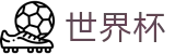 2026FIFA世界杯官方入口 - 中文官方网站